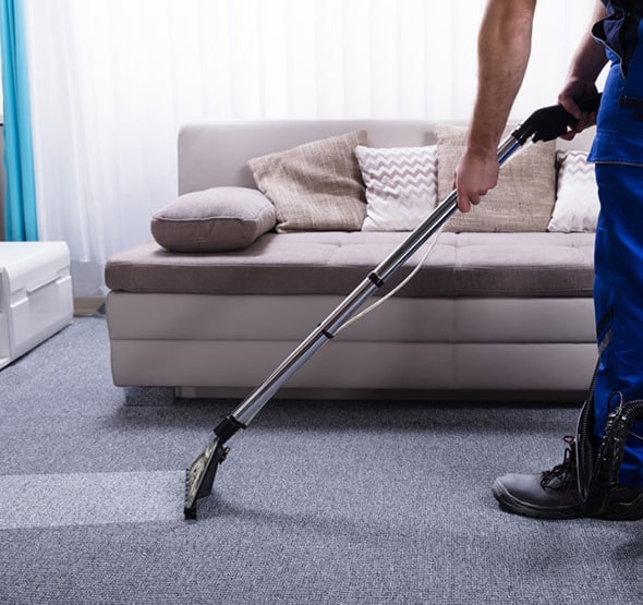 Carpet Steam Cleaning