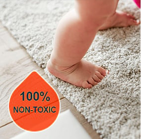 Non-Toxic Cleaners