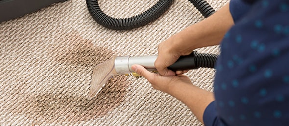 Professional Carpet Cleaner